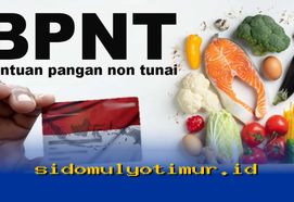 Jadwal Penyaluran Dana Bansos BPNT Tahap 1 2026 Resmi Diumumkan! Cek Sekarang!
